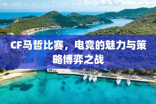 CF马哲比赛，电竞的魅力与策略博弈之战