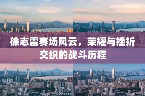 徐志雷赛场风云，荣耀与挫折交织的战斗历程