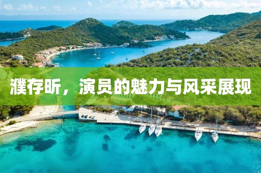濮存昕，演员的魅力与风采展现