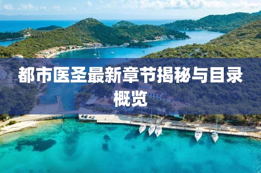 都市医圣最新章节揭秘与目录概览