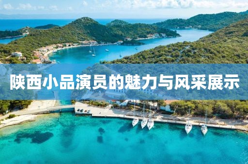 陕西小品演员的魅力与风采展示