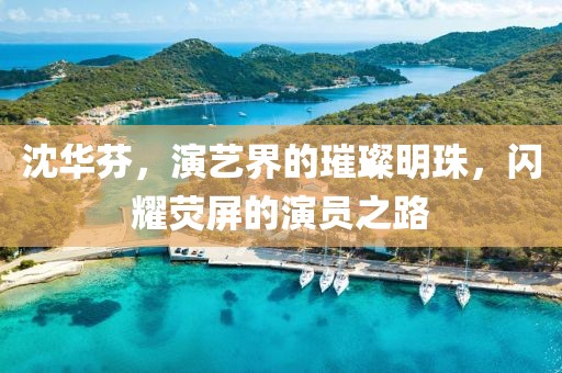 沈华芬，演艺界的璀璨明珠，闪耀荧屏的演员之路
