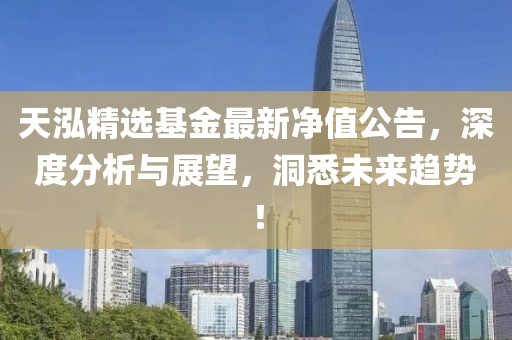 天泓精选基金最新净值公告，深度分析与展望，洞悉未来趋势！