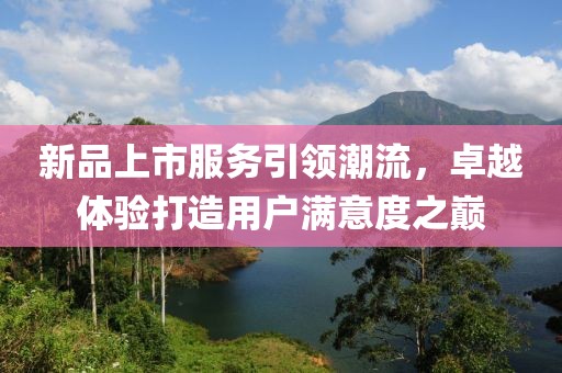 新品上市服务引领潮流，卓越体验打造用户满意度之巅