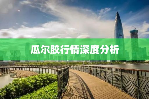 瓜尔胶行情深度分析