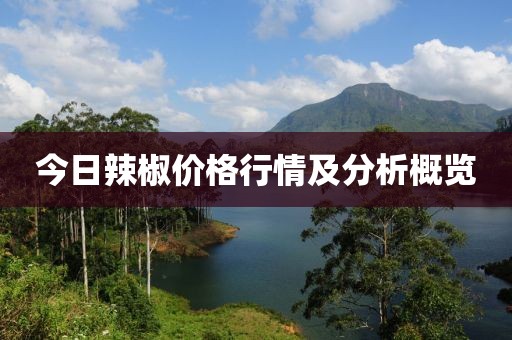 今日辣椒价格行情及分析概览
