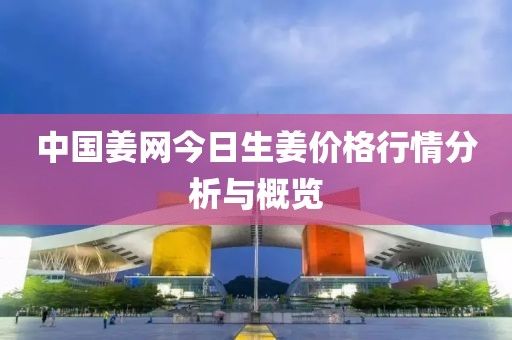 中国姜网今日生姜价格行情分析与概览