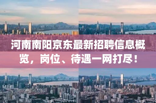 河南南阳京东最新招聘信息概览，岗位、待遇一网打尽！