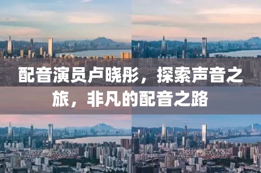 傲气与我同生 第17页