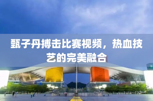 甄子丹搏击比赛视频，热血技艺的完美融合