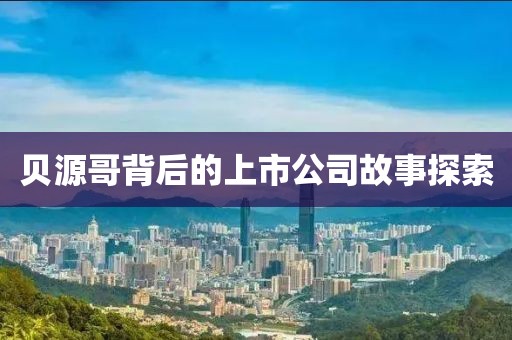 仗剑走天涯 第19页
