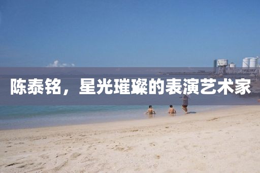 陈泰铭，星光璀璨的表演艺术家