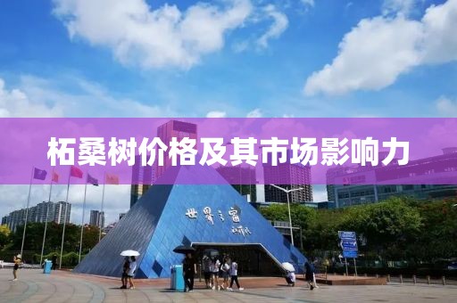 柘桑树价格及其市场影响力