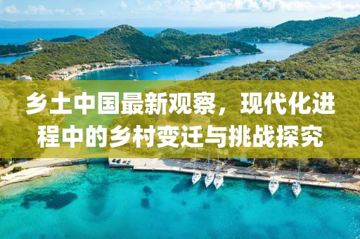 乡土中国最新观察，现代化进程中的乡村变迁与挑战探究