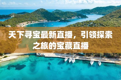 天下寻宝最新直播，引领探索之旅的宝藏直播