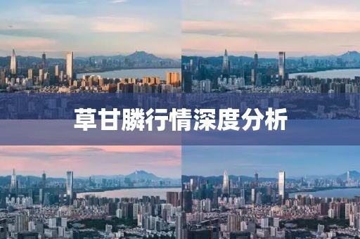 草甘膦行情深度分析