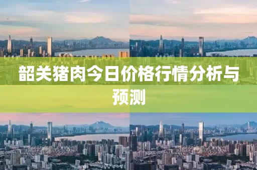 韶关猪肉今日价格行情分析与预测