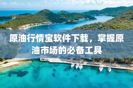 原油行情宝软件下载，掌握原油市场的必备工具