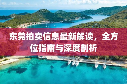 东莞拍卖信息最新解读，全方位指南与深度剖析