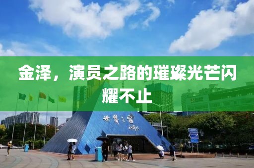 金泽，演员之路的璀璨光芒闪耀不止