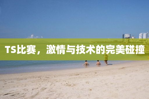 TS比赛，激情与技术的完美碰撞