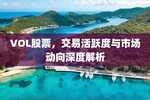 VOL股票，交易活跃度与市场动向深度解析