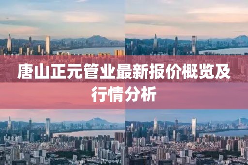 唐山正元管业最新报价概览及行情分析