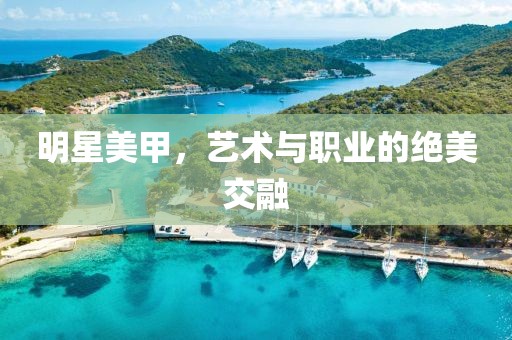 明星美甲，艺术与职业的绝美交融