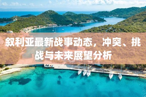 叙利亚最新战事动态，冲突、挑战与未来展望分析