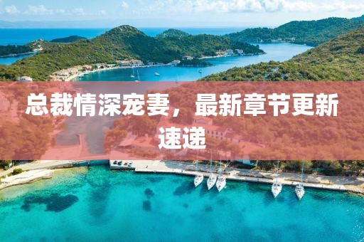 总裁情深宠妻，最新章节更新速递