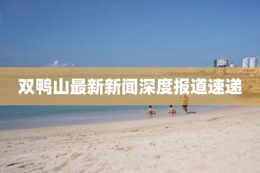 双鸭山最新新闻深度报道速递