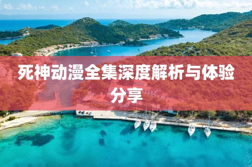 死神动漫全集深度解析与体验分享