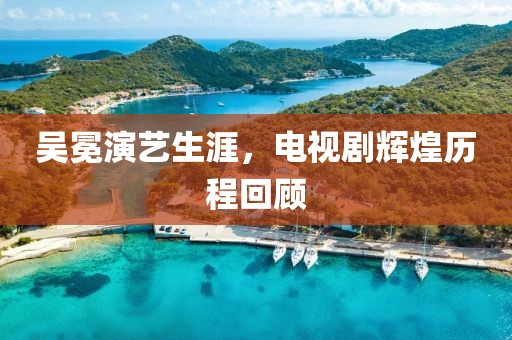 吴冕演艺生涯，电视剧辉煌历程回顾