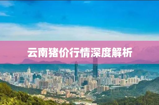 云南猪价行情深度解析