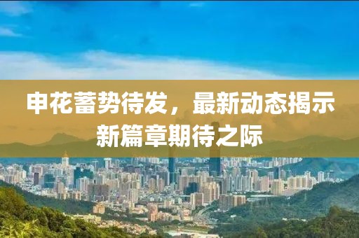 申花蓄势待发，最新动态揭示新篇章期待之际