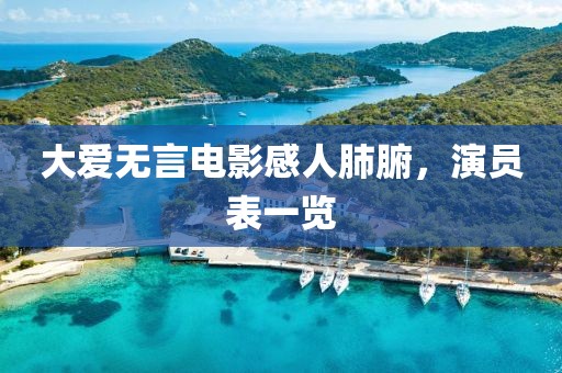 大爱无言电影感人肺腑，演员表一览