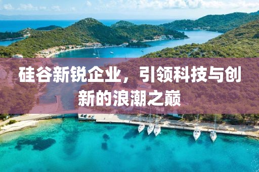硅谷新锐企业，引领科技与创新的浪潮之巅