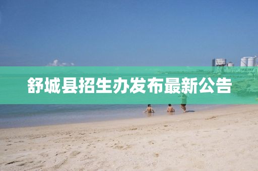 舒城县招生办发布最新公告