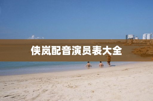 侠岚配音演员表大全