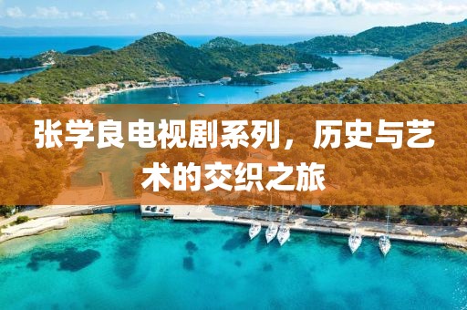张学良电视剧系列，历史与艺术的交织之旅