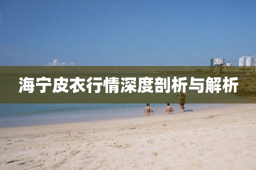 海宁皮衣行情深度剖析与解析
