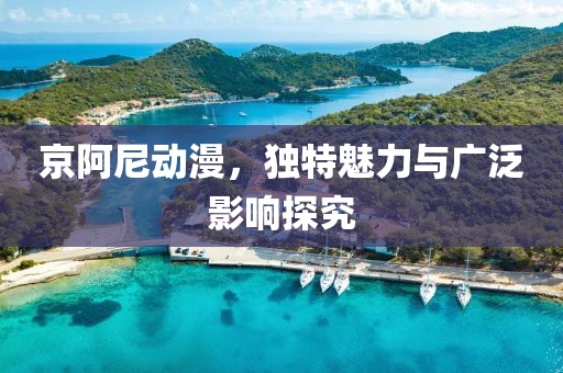 京阿尼动漫，独特魅力与广泛影响探究