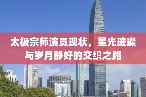 太极宗师演员现状，星光璀璨与岁月静好的交织之路
