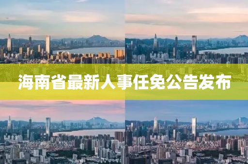 海南省最新人事任免公告发布