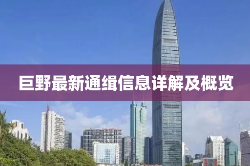 巨野最新通缉信息详解及概览