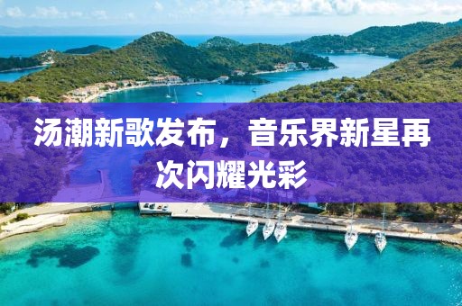 汤潮新歌发布，音乐界新星再次闪耀光彩