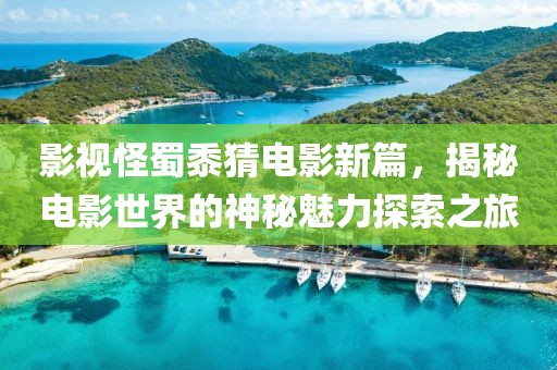 影视怪蜀黍猜电影新篇，揭秘电影世界的神秘魅力探索之旅