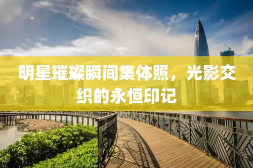 明星璀璨瞬间集体照，光影交织的永恒印记