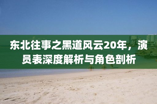 东北往事之黑道风云20年，演员表深度解析与角色剖析