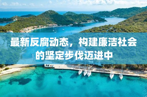 最新反腐动态，构建廉洁社会的坚定步伐迈进中